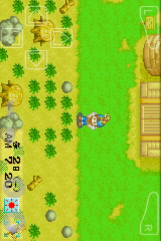 ���������ֻ���