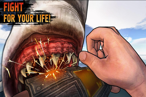 ����ľ����������