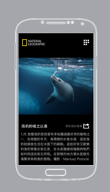 ���ҵ���ÿ�վ�ѡapp
