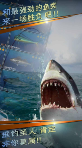 ��������ڹ��ƽ������