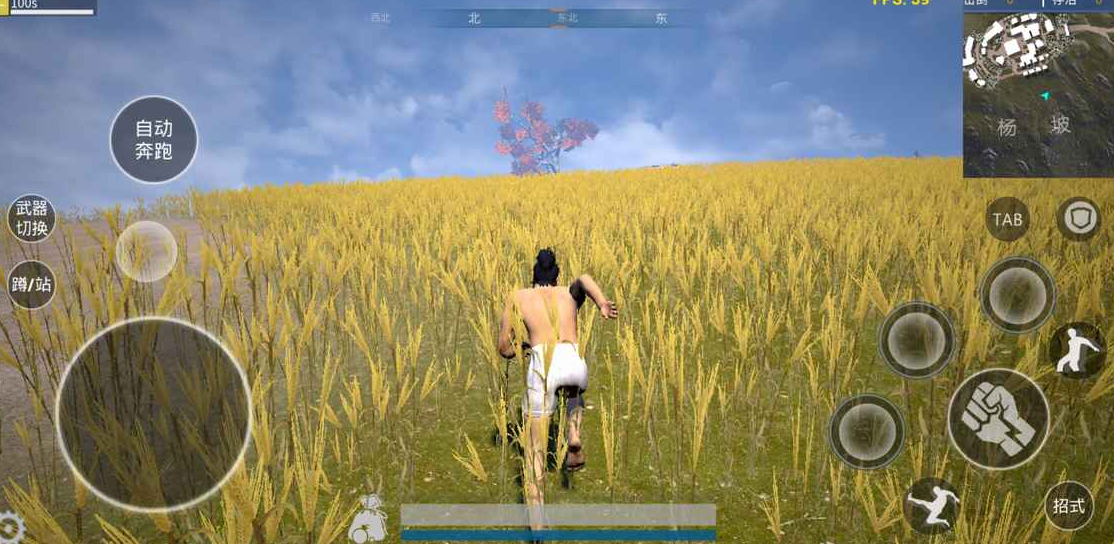 �����vapp����