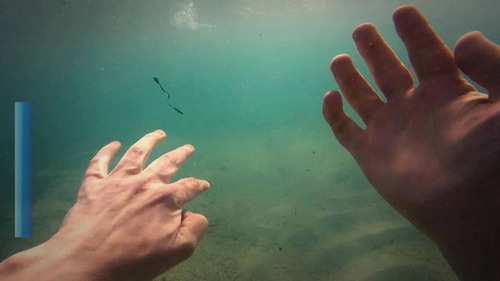 ������ɫ���ƽ������