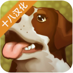 ���Ĺ���