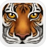 �ռ�Ұ������ģ����