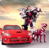 ��Ȯ���λ�����