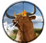 ��ţ�ѻ���