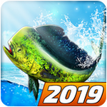 �����ǵ����