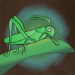 �������ռ���Ծ����