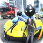 �����ĳ���