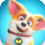 �ɹ�������