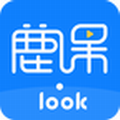 ¹��Look v2.1.2 �ٷ���