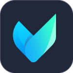 vidmore v1.0.62.0 ��ɫ��