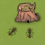 �������