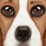 ���˹�ģ����