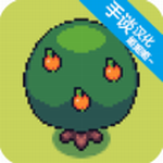 ��������ũ��