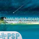 ���紫˵������2