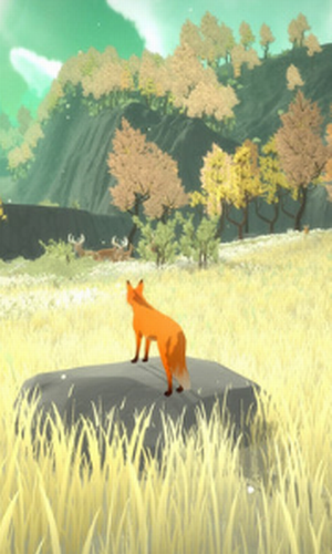 ��һ����