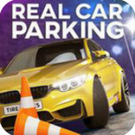 ��ʵͣ�������м�ʻ