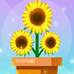 ����ֲ��