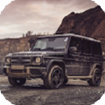 G63��ʻģ����