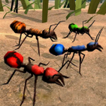 ȫԱ������֮������