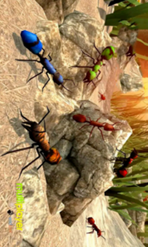 ȫԱ������֮������