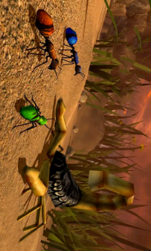 ȫԱ������֮������