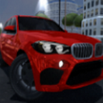 ����������ʻģ��2020