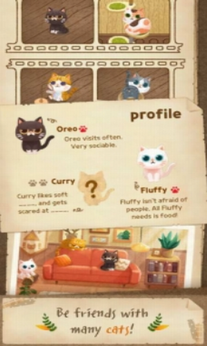 猫咪的秘密森林