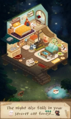 猫咪的秘密森林