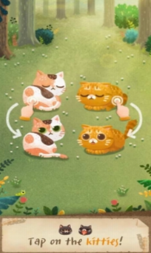 猫咪的秘密森林