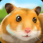 �����ù�