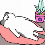 �����ϳ���