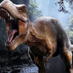 ������ģ����