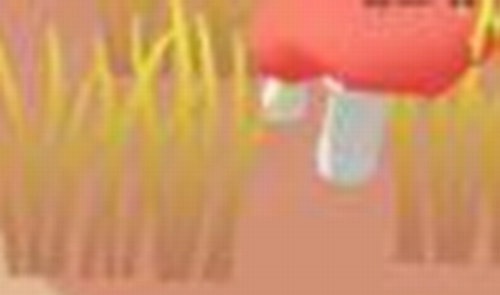 ΢�Ž�ͼ_20210303101245