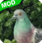 ���Ӱ������