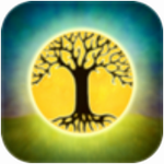 �����ڴ�