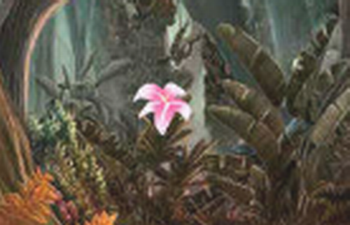 ΢�Ž�ͼ_20210318153150