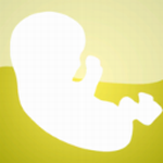 ��ʵ����ģ����