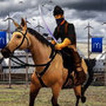 ��˹������ģ������