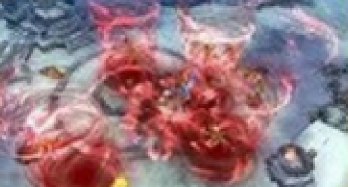 ΢�Ž�ͼ_20210327223031