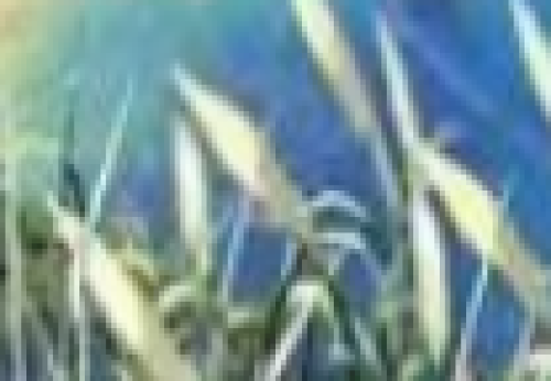 ΢�Ž�ͼ_20210327232856