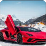 ������������ѩ������