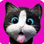 �ҵ�����è��