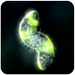 ���ӽ���4