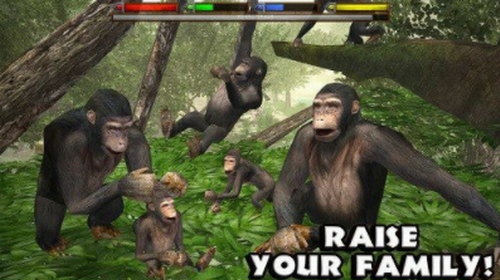 �ռ�����ģ����