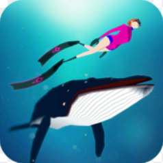 ����֮��