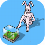 ���ˮ����