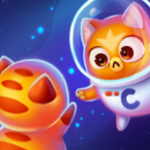 ̫��è����