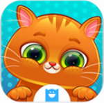 �ҵ�����è��